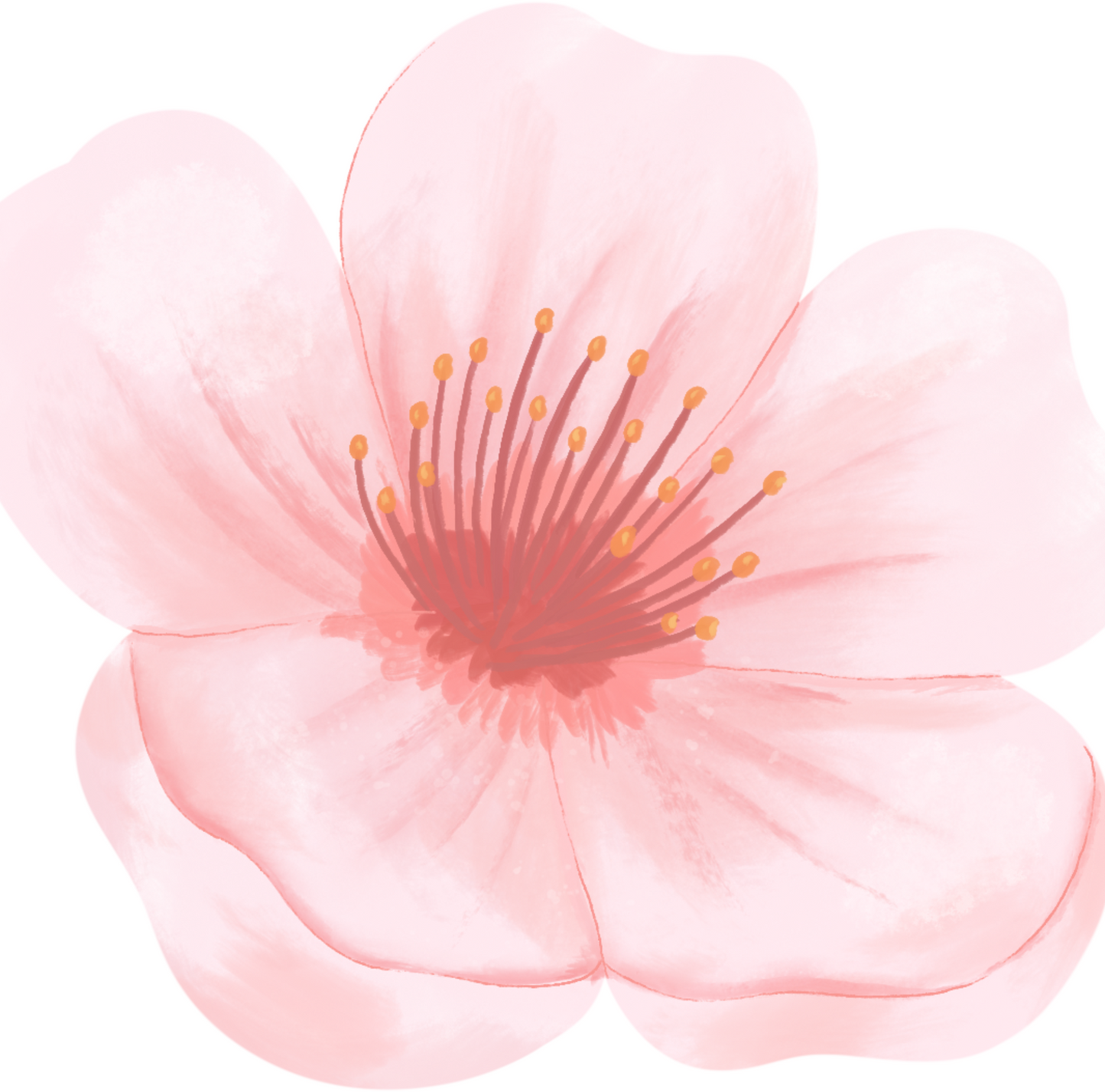 Plaid in Puro Cashmere